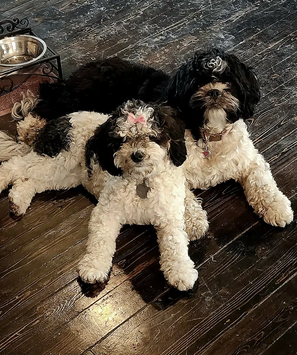 Restoring Hope Substance Abuse and